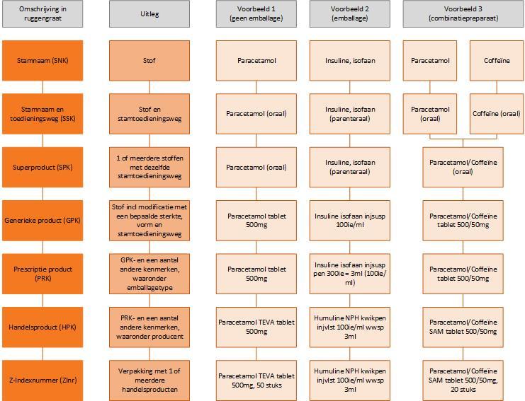 Tabel met visuele weergave van de hiërarchische niveaus van de Ruggengraat, inclusief voorbeelden.
